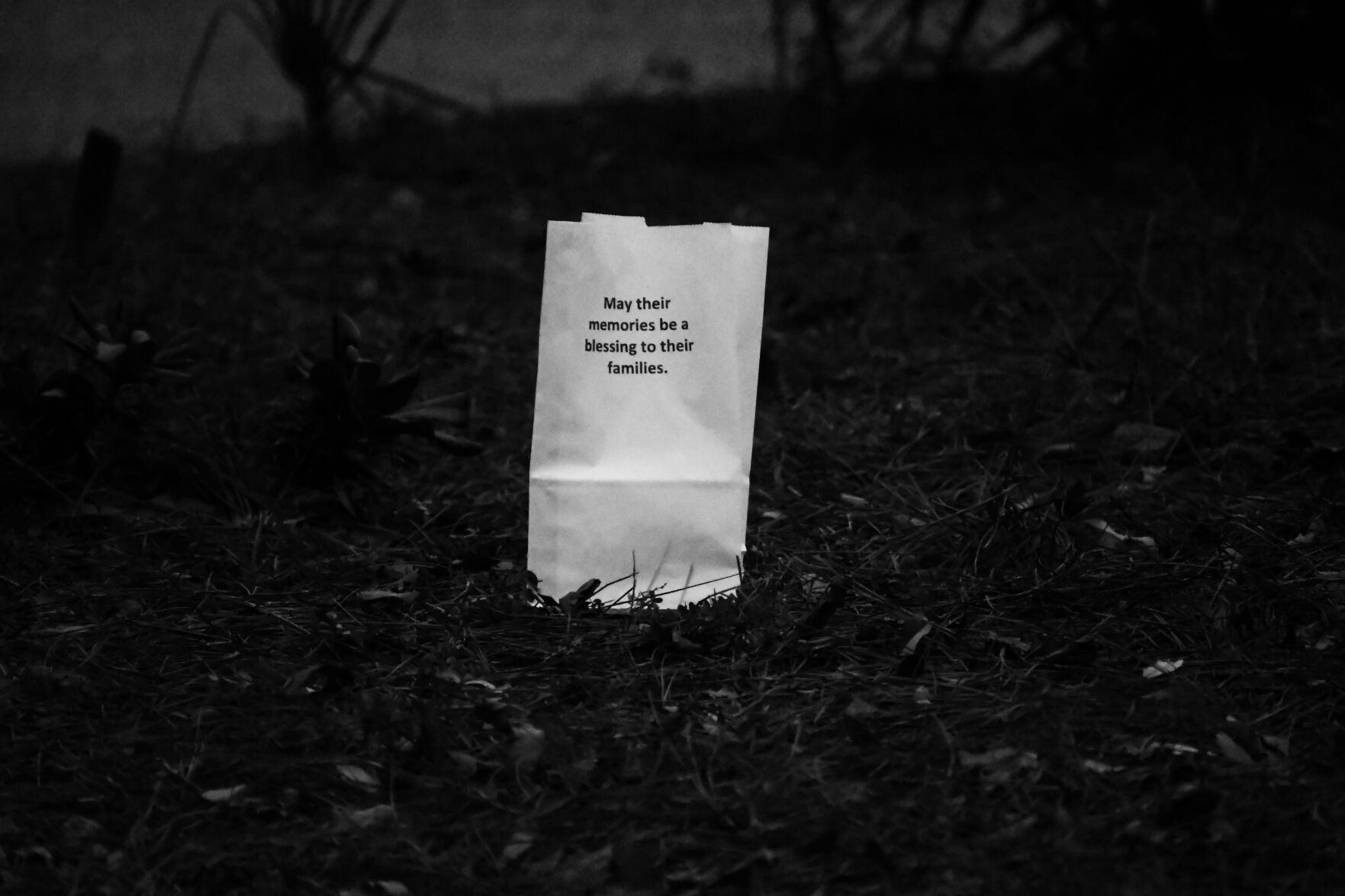 Tidelands-Remembrance-7.jpg